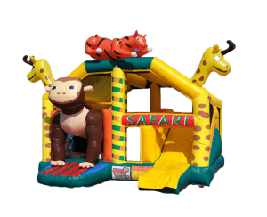 types of bouncy castle for your kids